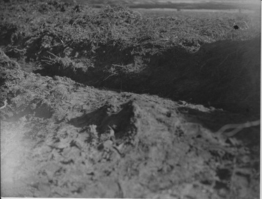 Photograph - Black and white print, Trench in the Orchard