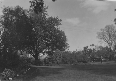 Photograph - Black and white print, Garden View