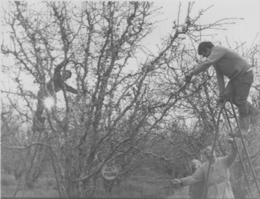 Photograph - Black and white prints, Student Activities, Unknown