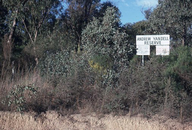 Slide - Colour slides, Yandell Reserve, 1975