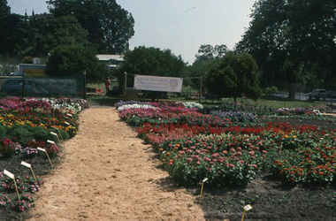 Photograph - Colour prints and colour slides, Kodachrome, Garden Week 1985 and The Sun Garden Week '86, 1985-1986