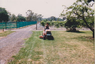 Photograph - Colour prints, James (Jim) Pleasance, Japanese Exchange Students, 1984-1989