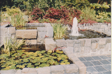 Photograph - Colour print, Sunken Garden