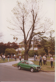 Photograph - Colour print, Kodak, Trees, Unknown