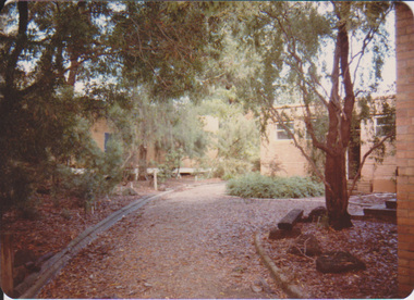 Photograph - Colour prints, Victorian College of Agriculture and Horticulture, Burnley Campus Views, 1984