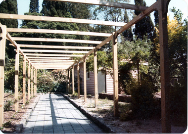 Photograph - Colour prints, Victorian College of Agriculture and Horticulture, Wisteria Walk, 1984