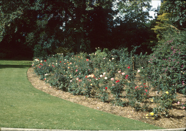 Album - Colour slides, Burnley Views, 1966-1991