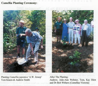 Photograph - Colour prints, Friends of Burnley Gardens, Camellia Planting Ceremony, 2002