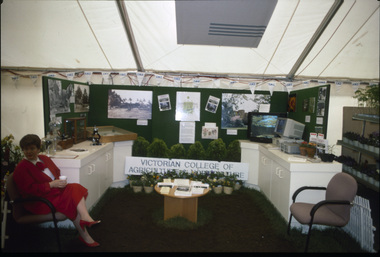 Photograph - Colour slides, Kodachrome, Garden Week 1991 Display, 1991