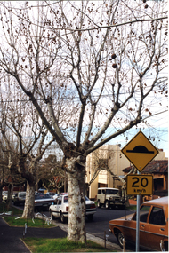 Photograph - Colour prints and negatives, Kodak Paper Doc, Trees, C. 1998