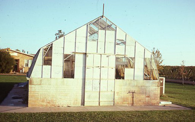 Album - Colour slides, Poly Tunnel, 1980-1990