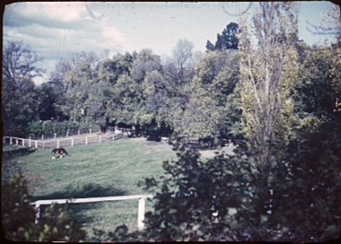 Photograph - Colour slides, Kodachrome, Miscellaneous Burnley, 1949-1990