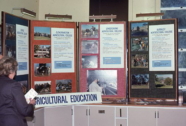 Photograph - 35mm Colour slides, Kodachrome, Pruning Day 1978, 1978