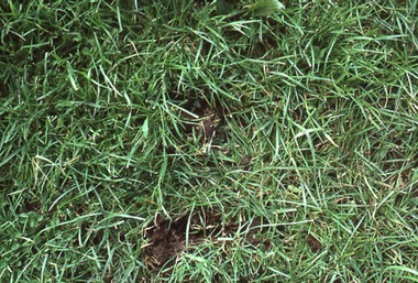 Slide - 35mm Colour slides, Kodachrome, Rock Dust, 1986