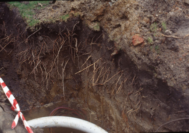 Photograph - 35mm Colour slides, Kodachrome, Tree Root Barriers, Unknown