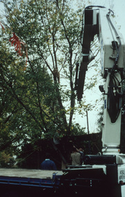 Photograph - 35mm Colour slides, Kodachrome, Transplanting a Large Tree, 1995