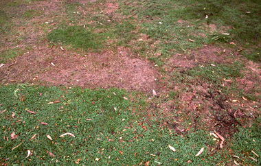 Slide - 35mm Colour slides, Kodachrome, Students Working Outside, 1985-1986