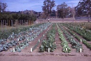 Album - 35mm Colour slides, Kodachrome, Miscellaneous, 1970-1981