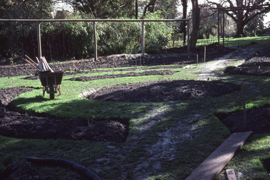 Photograph - 35mm Colour slides, Kodachrome, Rose Garden Construction, 1981