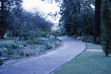 Photograph - 35mm Colour slides, Kodachrome, Rose Garden and Garden Views, 1982-1985