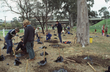 Album - 35mm Colour slides, Kodachrome, Yarra Bank Revegetation Project, 1985