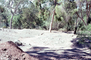 Album - Colour slides, Kodachrome, Kath Deery Native Garden Development, 1987
