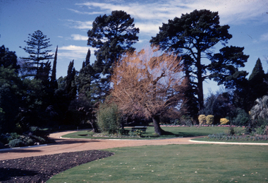 Album - 35mm Colour slides, Thomas H. Kneen, Burnley Gardens Views, 1950-1960