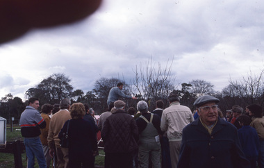 Album - 35mm Colour slides, Kodachrome, Pruning Day 1986, 1986