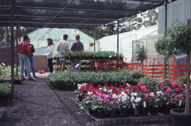 Album - 35mm Colour slides, Plant Sales and Garden Week, 1988-1996