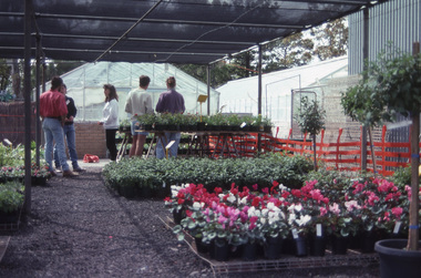 Album - 35mm Colour slides, Kodachrome, Plant Sales and Garden Week 1990, 1988-1996