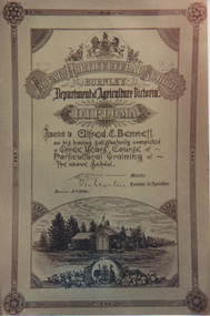 Photograph - Colour print, A.P. Winzenried, Diploma Certificate 1894, 1894