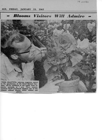 Newspaper, The Age, Blooms Visitors Will Admire, 1961