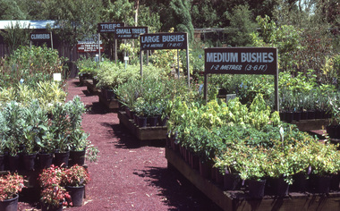 Slide - 35mm Colour slides, Kodachrome, Miscellaneous Burnley, 1982-1983
