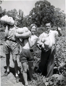Photograph, Students and Staff Picking Pumpkins, C. 1961