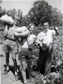 Photograph - Black and white print, W. R. Hearn, Students and Staff Picking Pumpkins, C. 1961