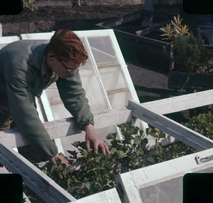 Photograph - Coloured slide, Oliver Frost, 1960-1962