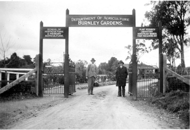 Photograph - Roy Anderson, David Roy Anderson, Entrance to Burnley Gardens, 1933