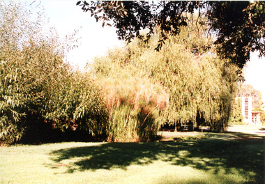 Photograph - Colour photograph, Luffmann Ponds, Unknown
