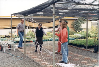 Photograph - Colour photograph, Konica, Garden Week 1989, 1989