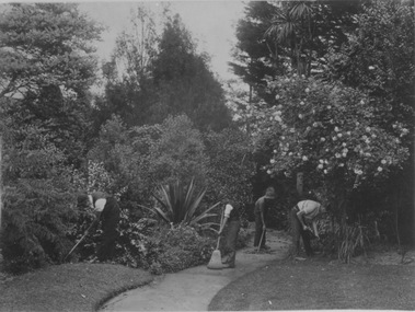Photograph - black and white proof, Dept pf Agriculture, Victoria, Students Working in the Gardens