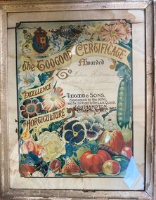 Certificate (item) - Award Certificate, Toogood & Sons, The Toogood Certificate - Framed, 1910