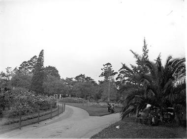 Photograph - Black and white photographs, Ballarat Botanic Gardens, Early 1900s