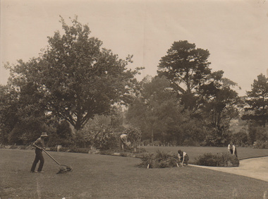 Photograph - Black and white photograph, Dept of Agriculture, Victoria, Students Working in the Gardens, 1913