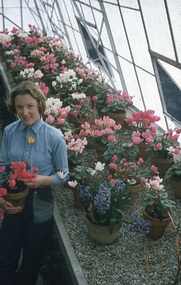 Photograph, Beverley Hanson (nee Wilson), Bev Hanson's Photographs, C. 1958-1960