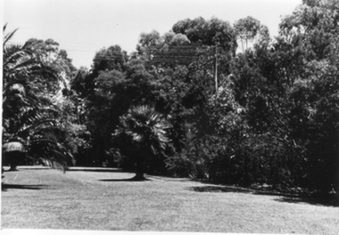 Photograph - Black and white print, E.M. Gibson, Garden View, March-April 1942