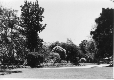 Photograph - Black and white photograph, E.M. Gibson, Garden View, March/April 1942