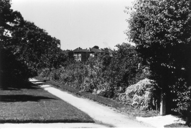 Photograph - Black and white photograph, E.M. Gibson, Orchard Border, March/April
