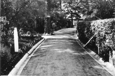 Photograph - Black and white photograph, E.M. Gibson, Principal's Drive, March/April 1942