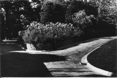 Photograph - Black and white photograph, E.M. Gibson, Rock Point, March/April 1942