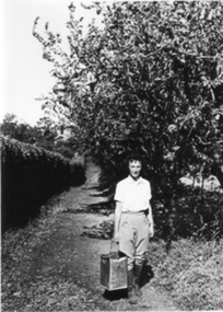 Photograph - Black and white photograph, E.M. Gibson, Student Working in the Orchard, September 1942
